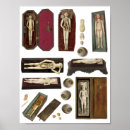 Search for part human posters Physiology