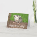 Search for cute possum cards Nature