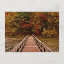 Search for nature preserve postcards Bridge