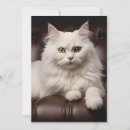 Recherche de cat remerciements cartes Chats