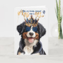 Search for entlebuchers Dogs