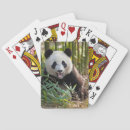 Search for danita delimont playing cards Bear