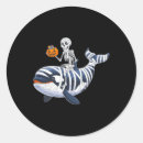 Search for orca whale stickers Pattern