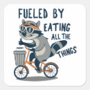 Search for racoon stickers Raccoon