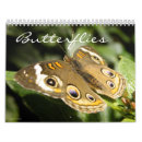 Recherche de de papillon calendriers Photos