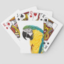 Recherche de oiseau bleu jeux de cartes Tropical