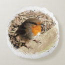 Search for robin bird pillows Robins