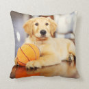 Recherche de jouet coussins Chiot