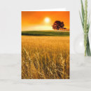 Search for red sunset cards Tree