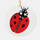 Search for bugs ornaments Beetle
