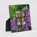 Recherche de lilas plaques Floral