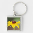 Search for boulders keychains Green