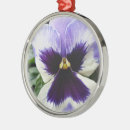 Search for pansy ornaments Purple