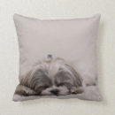 Recherche de dormant coussins Chien