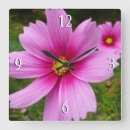 Recherche de roses sauvages horloges Nature