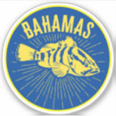 Search for bahamas Bahamas souvenir