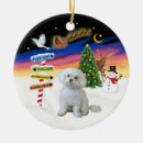 Search for maltese dog ornaments Dogs
