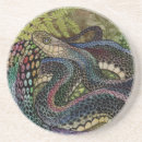 Recherche de peau serpent de dessous de verres Reptile