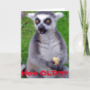 Search for lemur cards Zoo