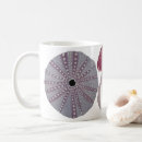 Search for sea urchin mugs Ocean