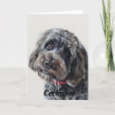 Search for cockapoo dog Black