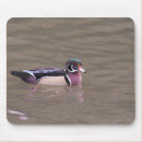 Search for bird hunt electronics Ducks