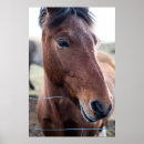 Recherche de vintage horse posters Rétro
