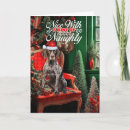 Search for german shorthaired pointer christmas cards Dogs