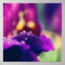 Recherche de sensuel posters Photographie