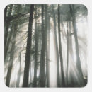 Search for sunbeam stickers Landscape