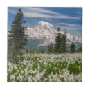 Search for mount rainier tiles Superstock