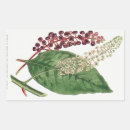 Search for vintage floral design stickers Botanical