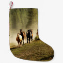 Recherche de mammifère chaussette de noël Sauvage