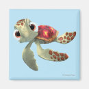 Search for sea turtle magnets Cartoon fish