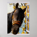 Search for equine image posters Animal