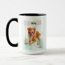 Search for toller mugs Scotia