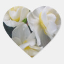 Search for jonquil flower stickers Jonquils
