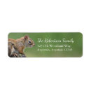 Search for squirrel return address labels Woodland