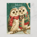 Search for snowy owl christmas cards Woodland animals