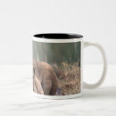 Search for delta mugs Botswana