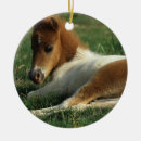 Search for miniature ornaments Equestrian