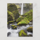 Search for columbia river gorge postcards Scenic