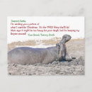Recherche de hippo christmas cards Hippopotame