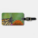 Search for butterfly luggage tags Wildlife
