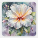 Search for hibiscus stickers Watercolor
