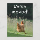 Search for funny change of address postcards We are moving