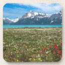 Search for glacier bay coasters Jaynes gallery