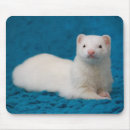 Search for weasels mousepads Pet