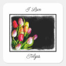 Search for pink tulip stickers Orange