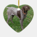 Search for german shorthaired pointer ornaments Pointers